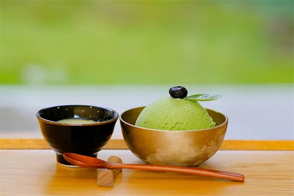 なぜ今、ソテツ？庭師が夢中になる常緑多年草の魅力と育て方