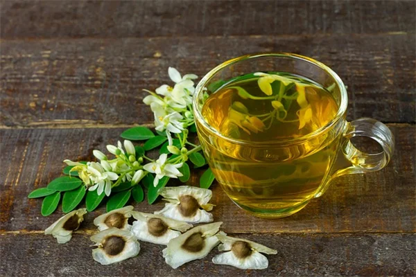 なぜ今、ソテツ？庭師が夢中になる常緑多年草の魅力と育て方