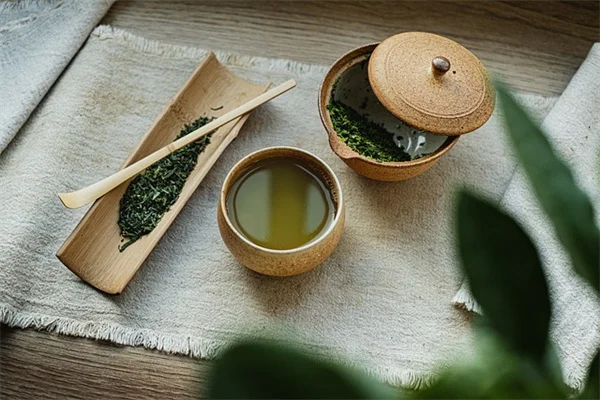 アクセントプランツ10選：プロ愛用の植物で庭が一気にオシャレに
