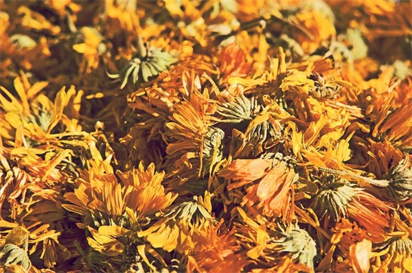 4月に剪定すると後悔する5つの植物リスト